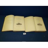 Two volumes - 'British Birds' a memorial edition of works by Thomas Bewicks 1885, Vol.