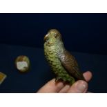 An Austrian cold painted bronze sculpture of a Budgerigar circa 1900,