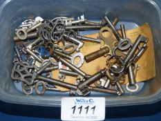 A quantity of old keys.