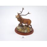 A Border Fine Arts Studio Red Stag, boxed. 8'' x 10'' tall, one antler a/f.