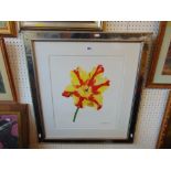 A framed limited edition print, flower,