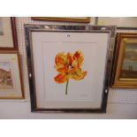 A framed limited edition print, flower,