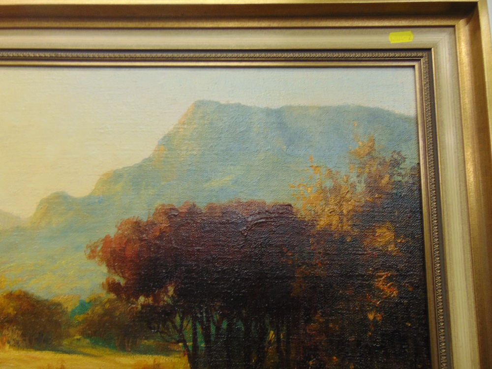 A framed oil on South African landscape - Image 4 of 5