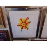 A framed limited edition print, flower,