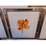 A framed limited edition print, flower,