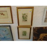 Two framed naturalist prints; Summer fruits 1899 unsigned 34 x 43cm and Wild flowers 1899 unsigned,