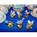 A Quseaux bird collection,