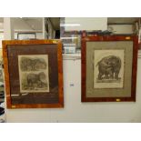 A pair of Maple framed animal studies