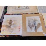 Two watercolours, works on paper,
