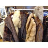 Three Mink coats,