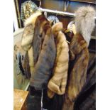 Three Mink coats,