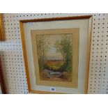 A framed watercolour woodland scene