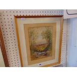 A framed watercolour woodland scene