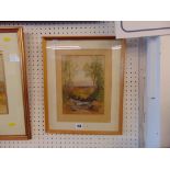 A framed watercolour woodland scene