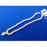 A Pearl necklace with 18ct White Gold clasp and a 18ct Gold Sapphire,