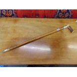 A Cane with Stag horn handle Malaca,