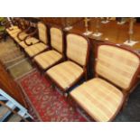 Ten assorted dining chairs and carvers