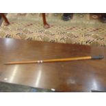 A Silver top walking cane, eastern,