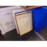 3 framed assorted prints