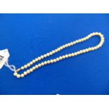 A Pearl necklace with 14ct Gold clasp