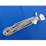 Three Grey pearl necklaces, 40cm,