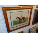 A race Horse print in a Maple frame