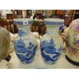 A pair of blue and white oriental vases