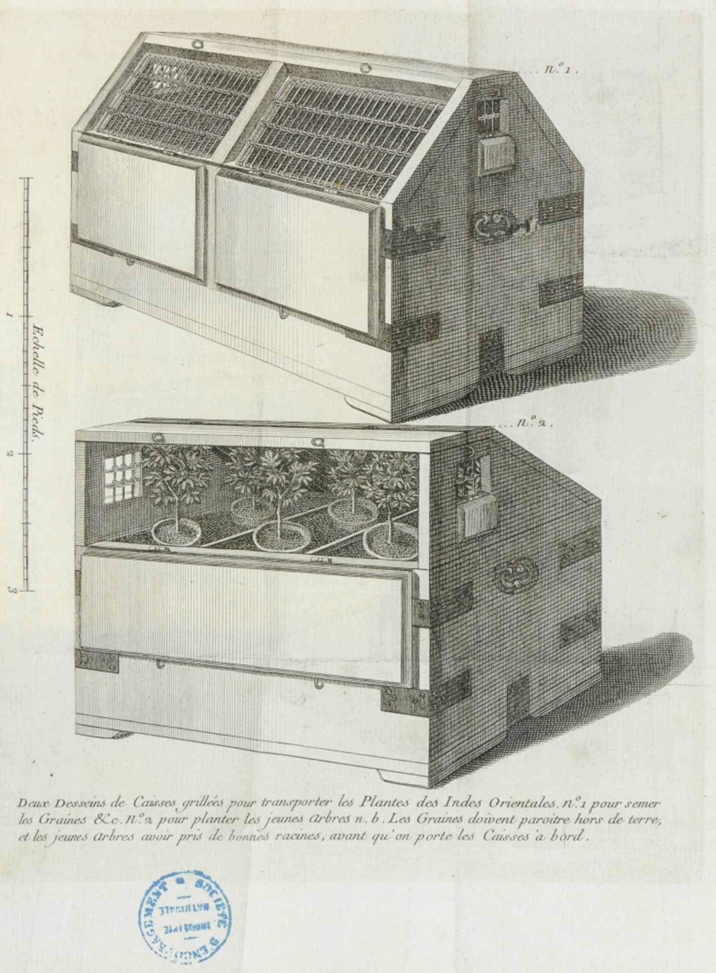 Biologie - Botanik - - Ellis, John.