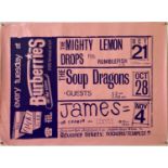 JAMES / SOUP DRAGONS CONCERT POSTER.