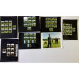 THE CHARLATANS COLLECTION - PHOTO CONTACT SHEETS.