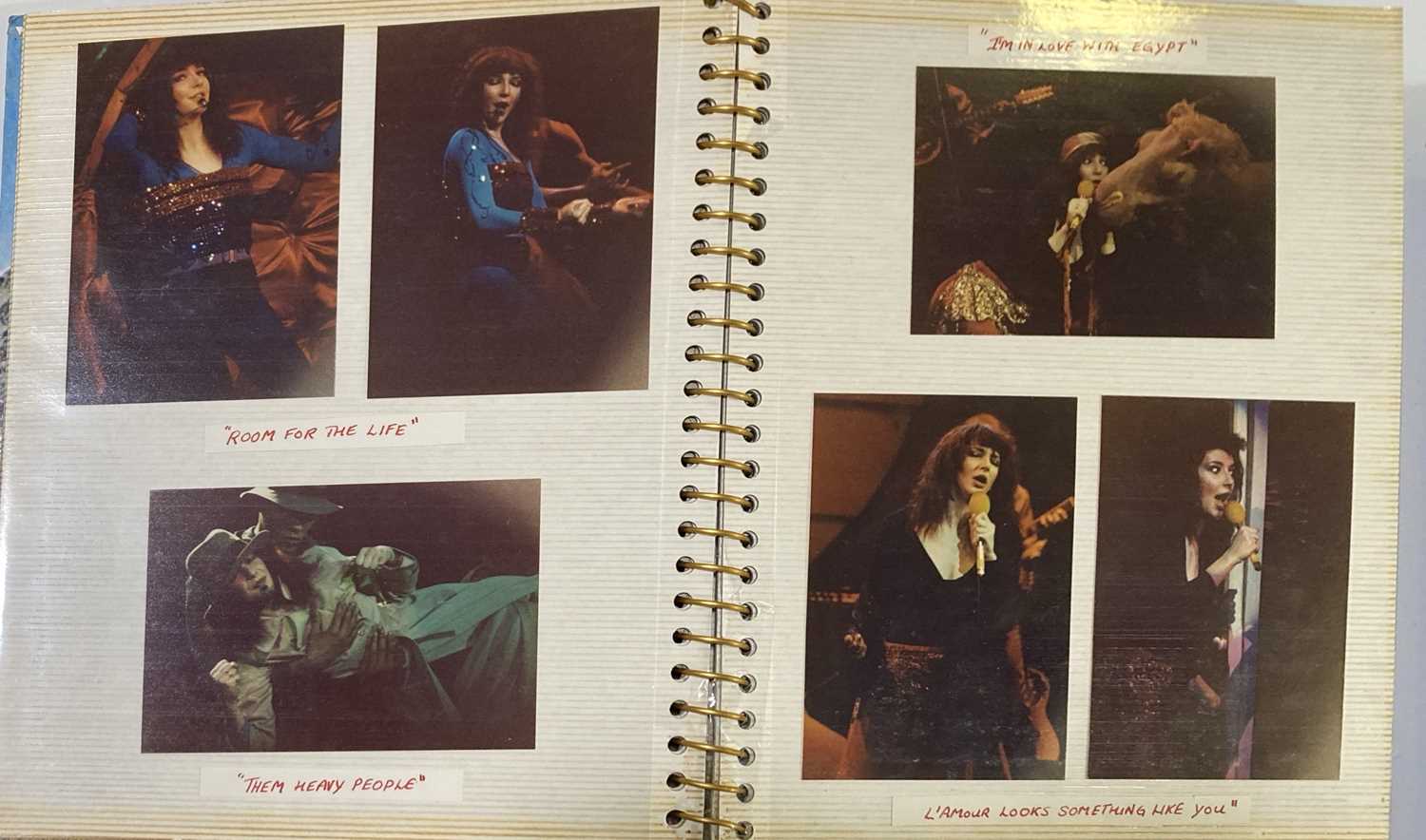 KATE BUSH SCRAPBOOKS INC CONCERT PHOTOGRAPHS. - Image 4 of 28