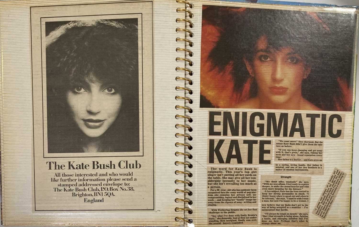 KATE BUSH SCRAPBOOKS INC CONCERT PHOTOGRAPHS. - Image 10 of 28