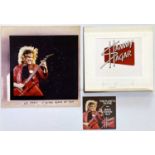 SAMMY HAGAR - ORIGINAL ARTWORK FOR 'THIS PLANET'S ON FIRE'.