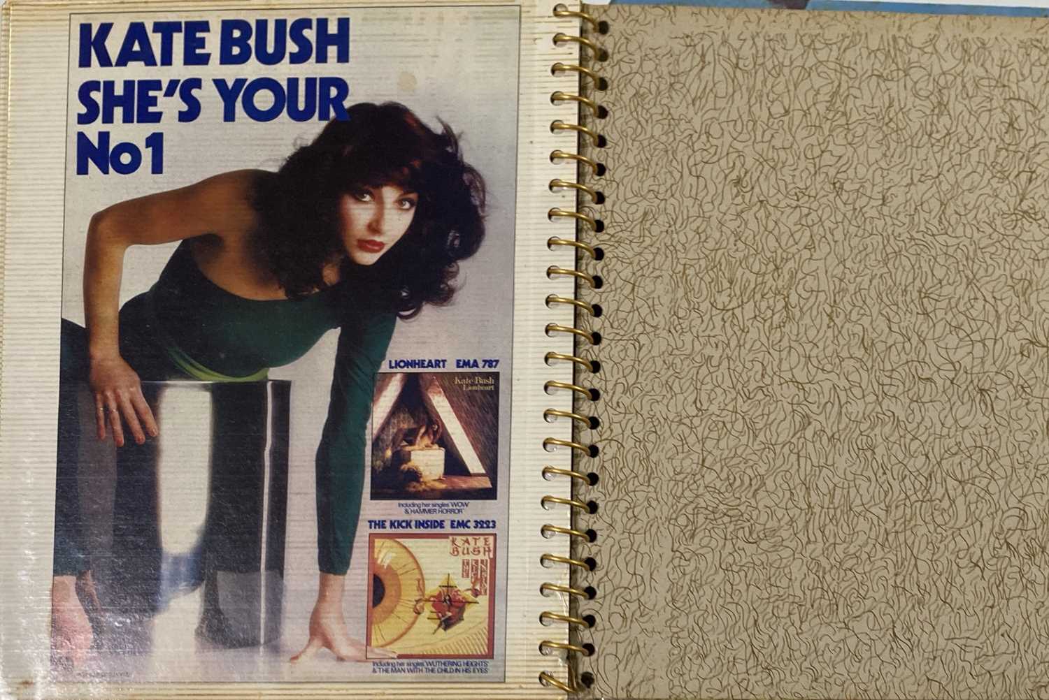 KATE BUSH SCRAPBOOKS INC CONCERT PHOTOGRAPHS. - Image 11 of 28