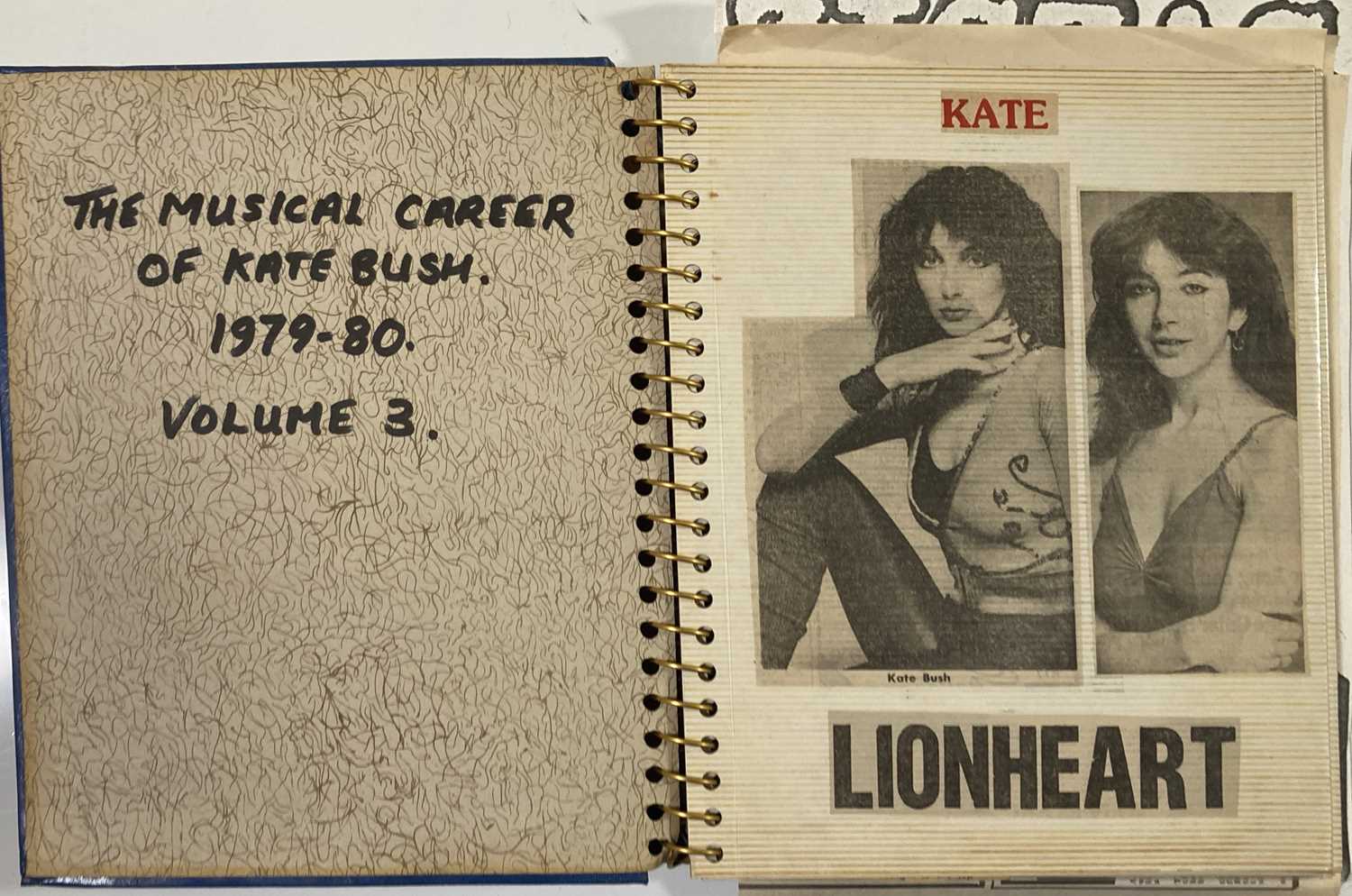 KATE BUSH SCRAPBOOKS INC CONCERT PHOTOGRAPHS. - Image 12 of 28