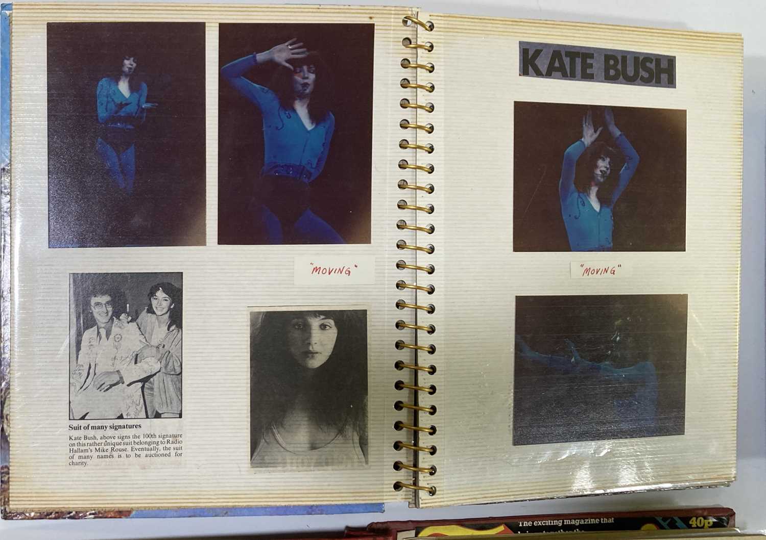 KATE BUSH SCRAPBOOKS INC CONCERT PHOTOGRAPHS. - Image 3 of 28