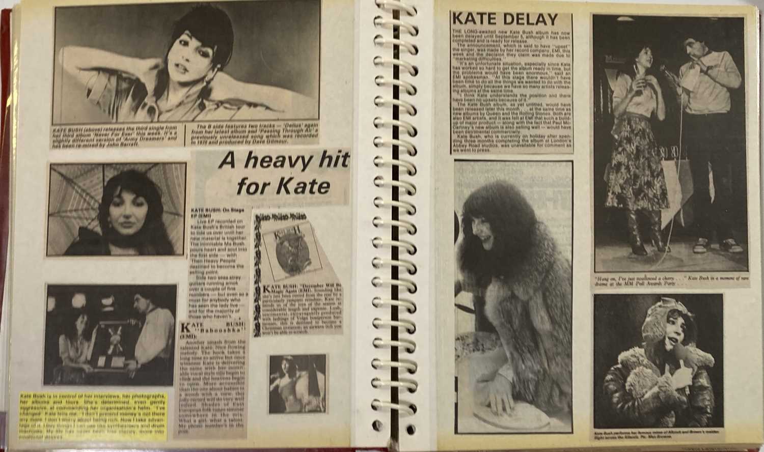 KATE BUSH SCRAPBOOKS INC CONCERT PHOTOGRAPHS. - Image 19 of 28