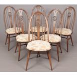 A set of six ash golden dawn quaker swan back Ercol dining chairs.