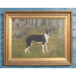 A gilt framed oil on canvas, study of a black and white dog, titled Rocky and signed Jonathan '78.