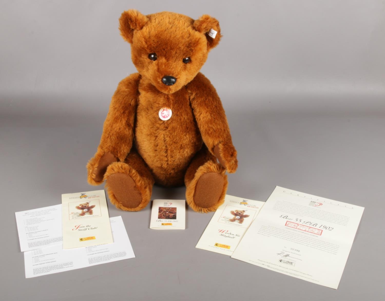 A boxed Steiff 55PB Limited Edition teddy bear, 1902 Replica, 55cm, Number 02390/7000 worldwide.
