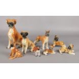 Eight ceramic figures of Boxer Dogs, with examples produced Jema Ware and Sylvac. Small chips to the