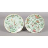 Two Twentieth Century celadon ceramic dishes, decorated with birds and flowers. Diameter: 18cm.
