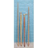 A small collection of walking sticks and small snooker cues. Walking stick handles in the form of an
