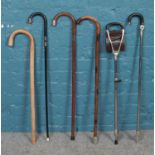 A series of walking sticks and shooting sticks. Two walking sticks having silver collars (