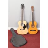A Martin Shaw Acoustic guitar W-101-N & a Encore Acoustic guitar ENC36N (with case)