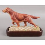 A Royal Worcester Irish Setter - one of a series of sporting dogs; contained within stepped