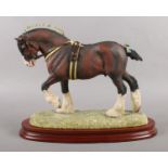 A boxed Border Fine Arts Sculpture ' Champion of Champions Shire Stallion 'on Wooden Plinth. Limited