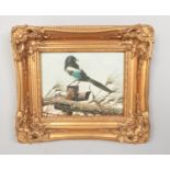 C Jeffares Gilt framed Oil on canvas. Study of a Magpie (26 x 20.5 cm)