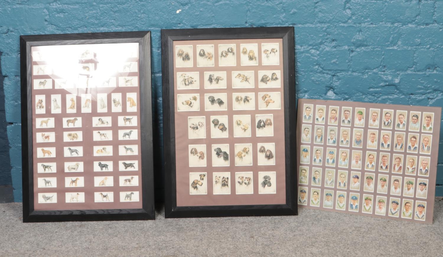 A collection of framed Players cigarette cards.