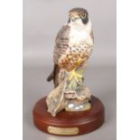 A Royal Doulton limited edition Peregrine Falcon figure. HN 3541. 23.5cm